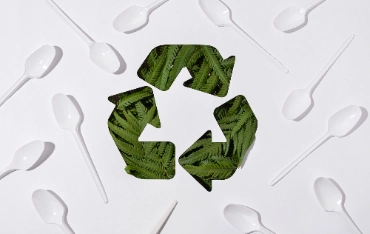 مراقبة جودة الورق الحراري